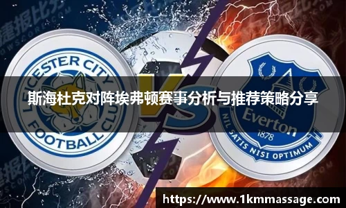 斯海杜克对阵埃弗顿赛事分析与推荐策略分享